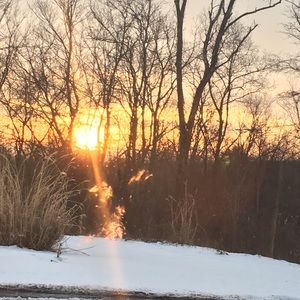 Meet your Posher, Dan